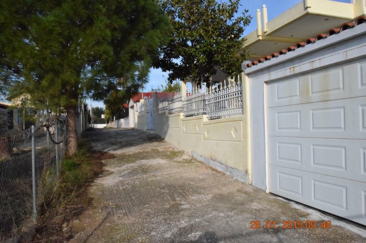 Villa Filoxenia All Seasons, Near Airport, Sea, Athens Agia Marina  Exterior foto
